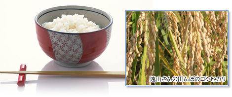 遠山さんの田んぼのコシヒカリ