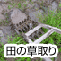 田の草取り